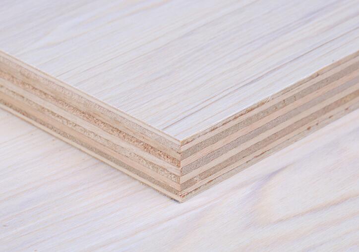 18mm�������B��